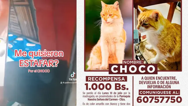 Captura del video y afiche de la b&uacute;squeda de Choco./ FACEBOOK ROLANDO LAIME