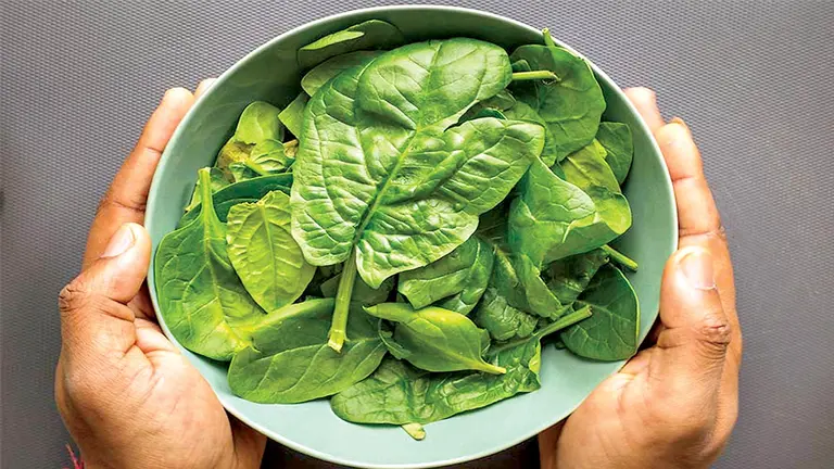 Los seis mejores  alimentos para el  cerebro y la salud mental./ CORAOPS