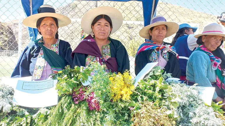 Mujeres durante la exposici&oacute;n y venta de plantas medicinales en Tacopaya./ GOBERNACI&Oacute;N