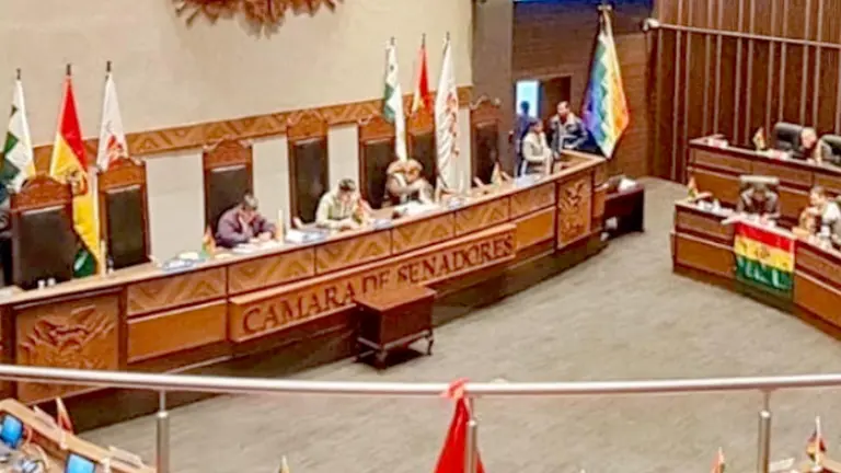 El Senado sesiona para aprobar la Ley que reiniciaría el proceso de selección de candidatos para las judiciales./ OXIGENO.BO