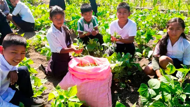 Un grupo de estudiantes de un colegio de Villa Tunari muestra las verduras cosechadas./ RADIO SOBERAN&Iacute;A