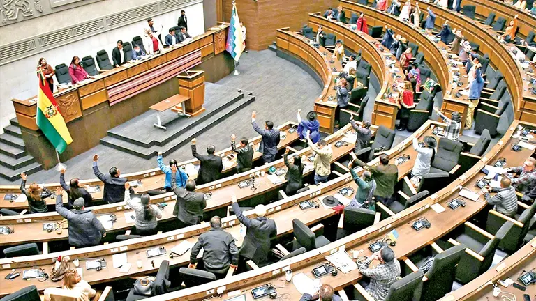 La Asamblea Legislativa Plurinacional es la encargada de la preselecci&oacute;n de candidatos./ APG