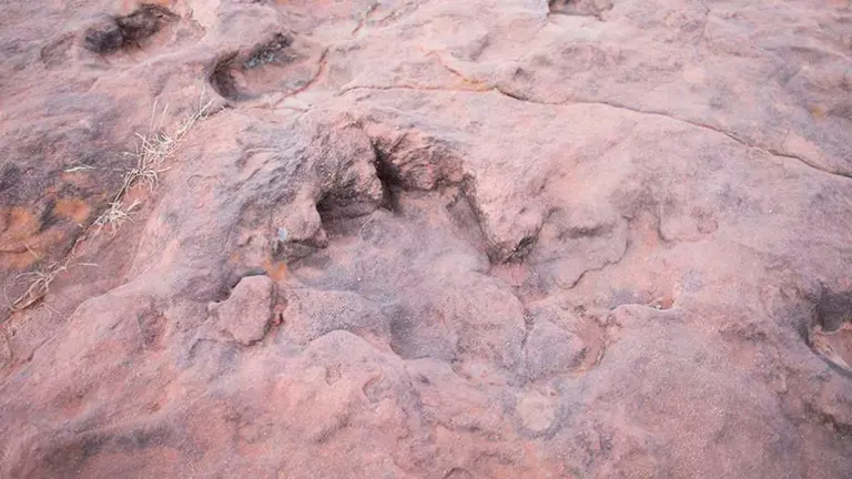 Una huella de un dinosaurio en Tarija. La Voz de Tarija ARCHIVO