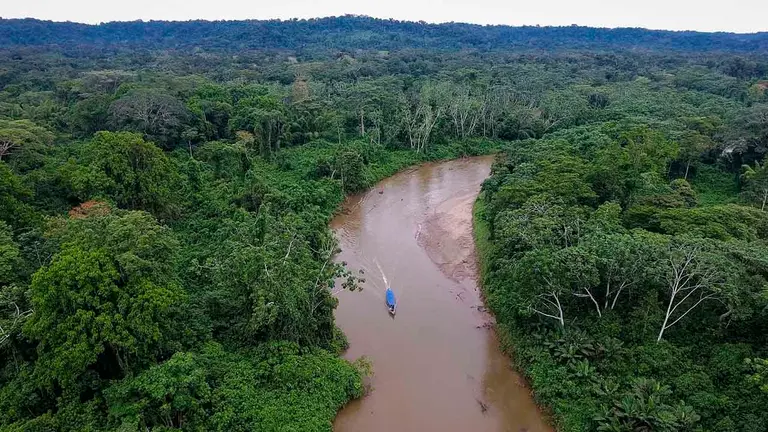 Uno fotograf&iacute;a a&eacute;rea de un bosque en la Amazon&iacute;a ecuatoriana. FUNDACI&Oacute;N ECOCIENCIA