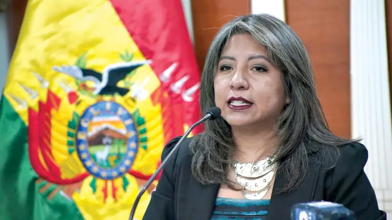 La exviceministra Nadia Cruz fue la encargada de presentar el proyecto de ley./ ABI