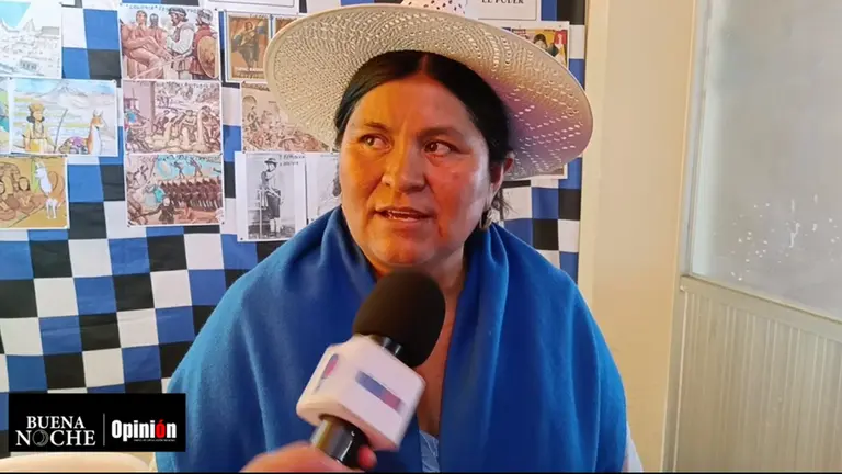 Primitiva Huarachi, presidenta de la direcci&oacute;n Departamental del MAS./ CAPTURA DE VIDEO