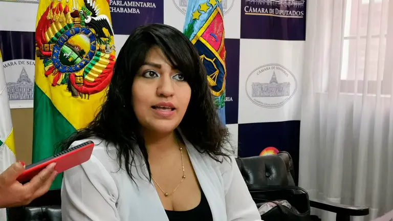 La diputada Pamela Terrazas durante la conferencia de prensa./ MARIELA COSS&Iacute;O