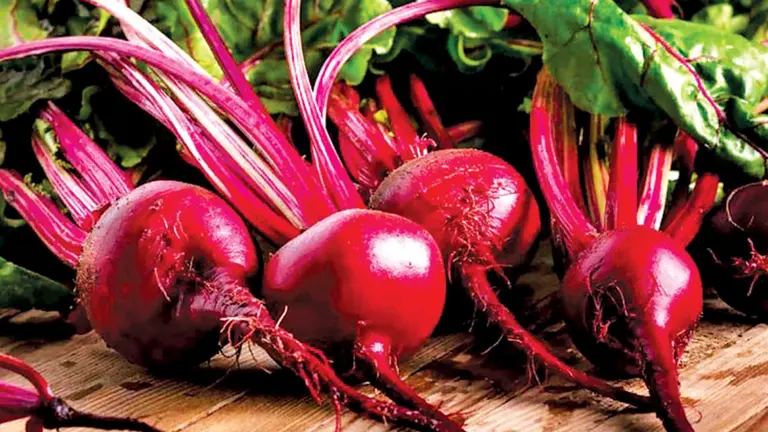 Remolacha: los beneficios de esta colorida verdura./ PEXELS