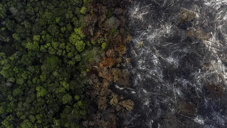 Fotograf&iacute;a a&eacute;rea muestra hoy la destrucci&oacute;n causada por uno de los incendios en la selva amaz&oacute;nica, en el municipio de Manaquiri cerca a Manaos, estado de Amazonas (Brasil)./ EFE