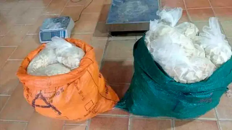 Bolsas de yute con la sustancia il&iacute;cita decomisada por la Polic&iacute;a. El Deber