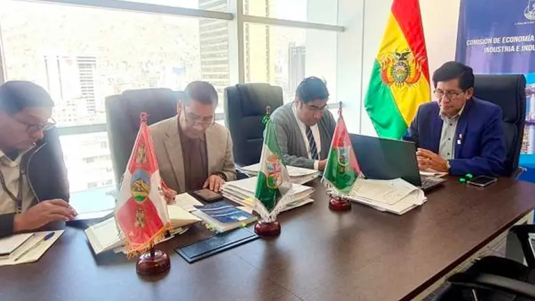 La 25 sesión ordinaria de la Comisión de Economía Plural, Producción, Industria e Industrialización, presidida por el senador Félix Ajpi./ OXIGENO.BO