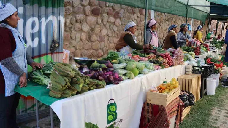 Productores ecol&oacute;gicos ofrecen verduras, hortalizas y fruta en una de las ferias de la ciudad. AGRECOL ANDES