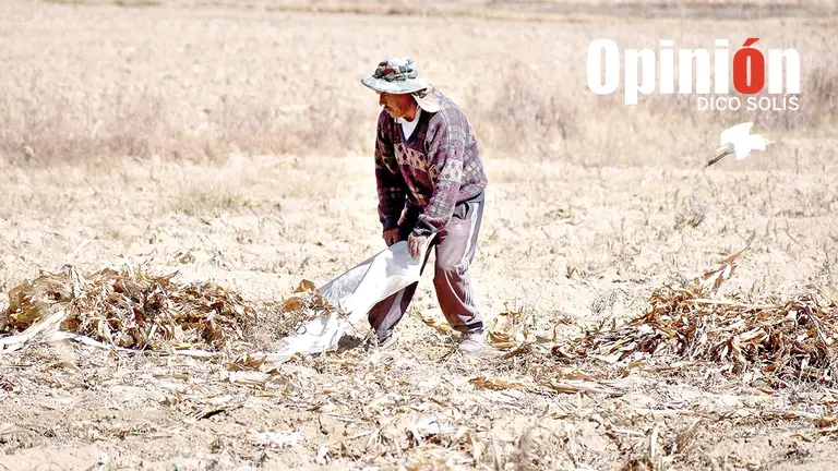 Campos con falta de agua en el Valle Alto./ DICO SOL&Iacute;S