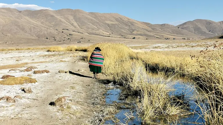 Una mujer del Ayllu San Agustín de Puñaca contempla las aguas del río Cachimayu en Poopó, Oruro. / MARIELA COSSÍO