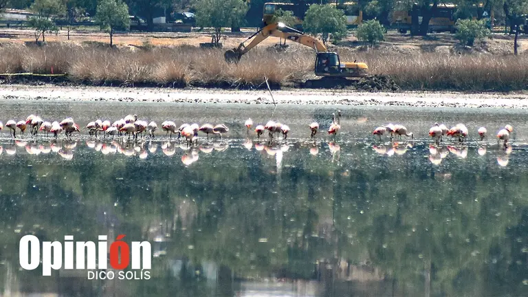 Los trabajos de dragado en la laguna Alalay, este 25 de septiembre./ DICO SOL&Iacute;S
