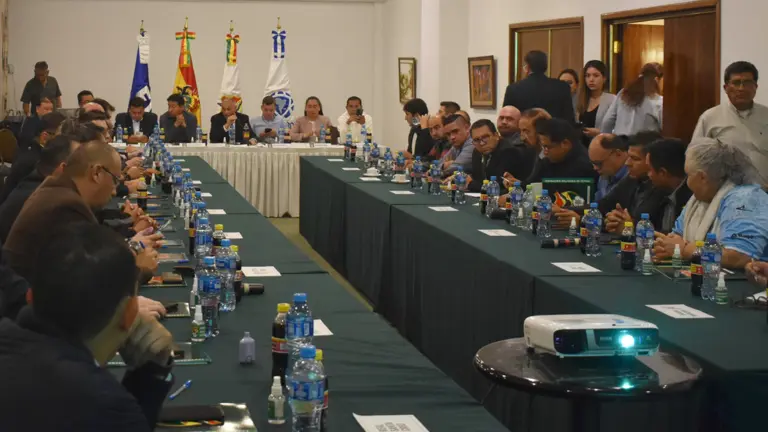 Una imagen del Consejo Superior de la Divisi&oacute;n Profesional. APG