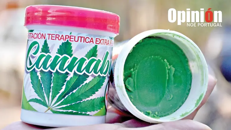 Imagen referencial de cannabis medicinal./ NO&Eacute; PORTUGAL