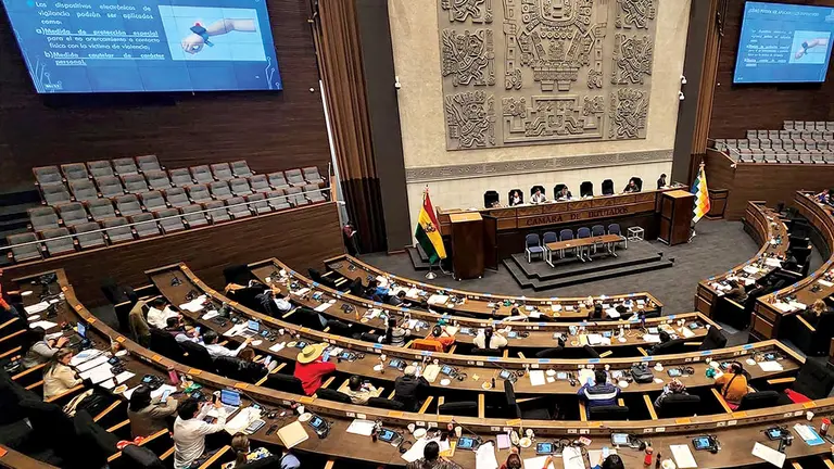 Autoridades de la C&aacute;mara de Diputados durante la aprobaci&oacute;n de la ley de manillas./ ERBOL