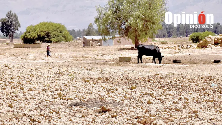 Sector agr&iacute;cola en la zona de Puka Orqo, en Arani./ DICO SOL&Iacute;S