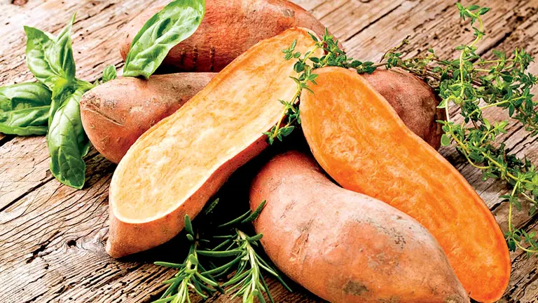 Beneficios del camote, el superalimento que protege al coraz&oacute;n./ RPP
