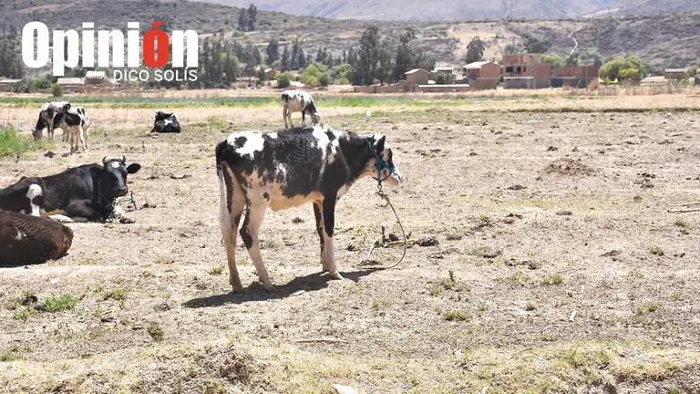 Un terreno &aacute;rido, debido a la falta de lluvias./ DICO SOL&Iacute;S