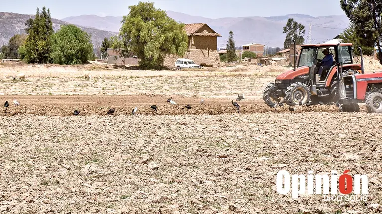 La afectaci&oacute;n por sequ&iacute;a en campos agr&iacute;colas en Punata, en semanas anteriores./ DICO SOL&Iacute;S