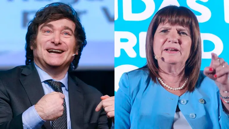 El libertario Javier Milei junto a la excandidata Patricia Bullrich. NA publicado en El Diario