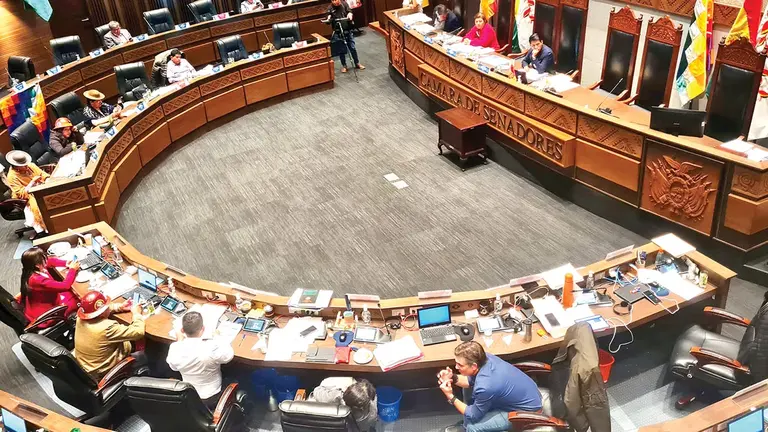 Una fotograf&iacute;a referencial de la C&aacute;mara de Senadores./ ABI