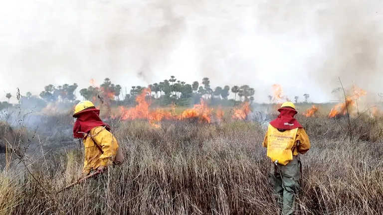 Bomberos apagan un incendio forestal en el oriente del pa&iacute;s./ URGENTE.BO
