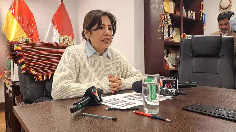 La senadora Ana Mar&iacute;a Castillo, del MAS./ RRSS