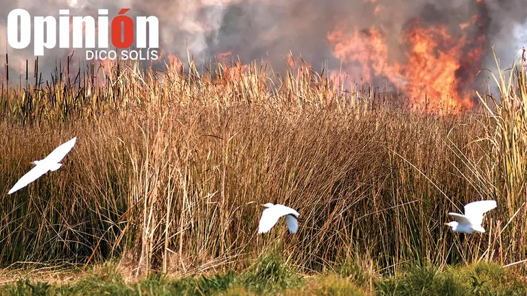 Un incendio en la zona de Quenamari, en Cochabamba. / DICO SOLIS