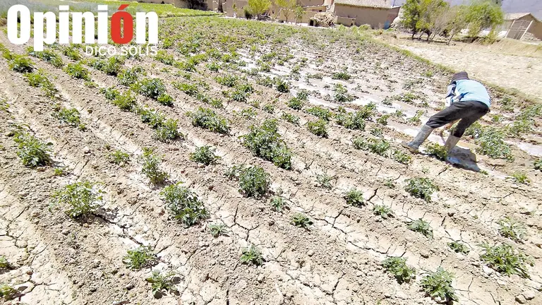 Imagen de los efectos de la sequía en el Valle Alto de Cochabamba. / DICO SOLÍS