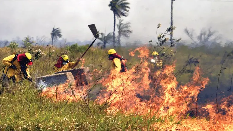 Una fotograf&iacute;a de archivo muestra a bomberos forestales que combaten un incendio./ ABI