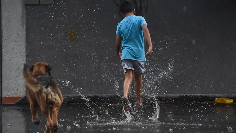 Un ni&ntilde;o y un perro se refrescan con la lluvia. DICO SOL&Iacute;S