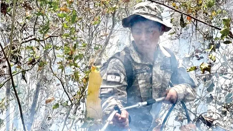Un bombero realiza la tarea de mitigaci&oacute;n de los focos de calor./ MIN DEFENSA