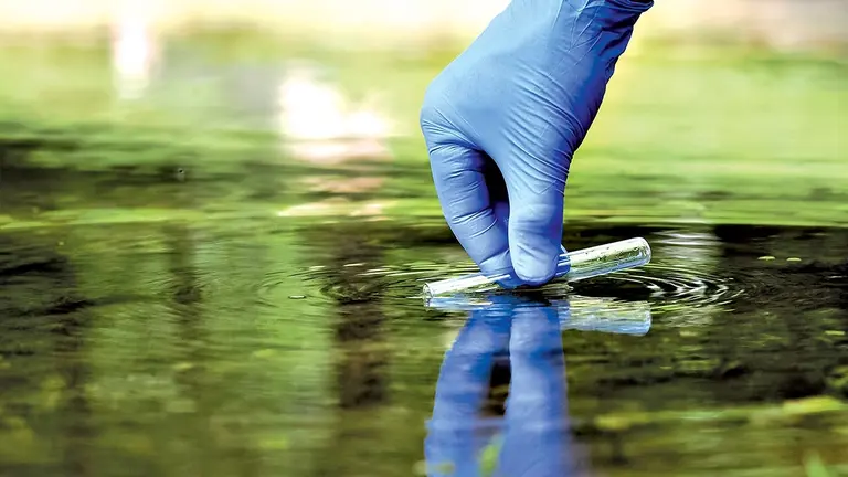 Cambridge crea      
dispositivo que transforma agua contaminada en combustible./ CASTANHEIRA
