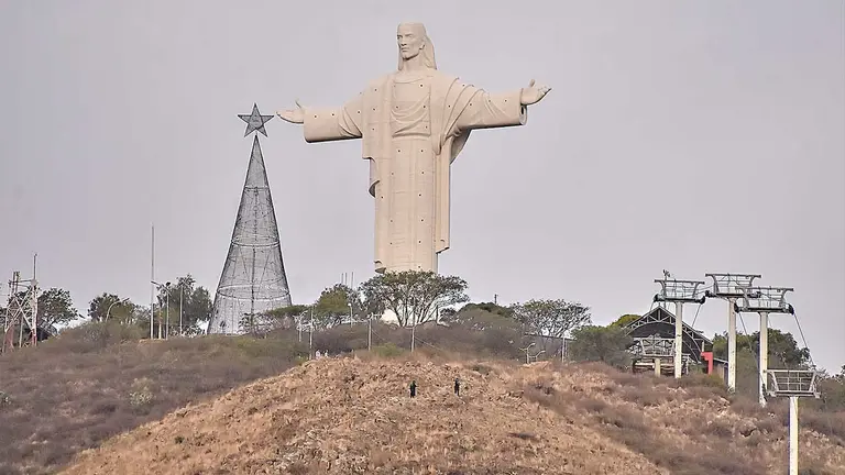 Arman &aacute;rbol gigante en el Cristo, Cochabamba./ DICO SOL&Iacute;S