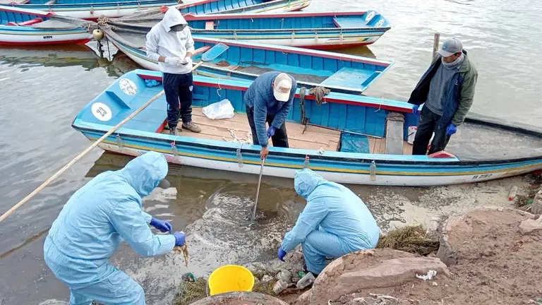 Limpieza en las orillas del río Desaguadero en el lado peruano./ ERBOL