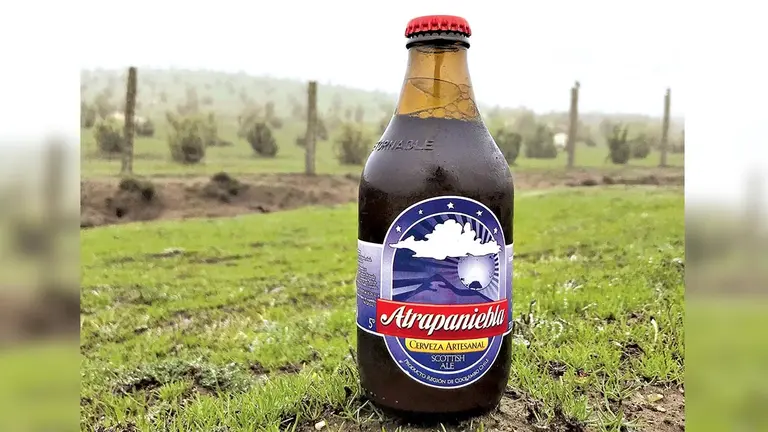 Cerveza de neblina:  una innovadora receta ancestral./ ATRAPANIEBLA