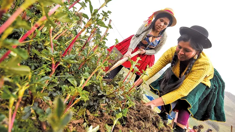 Warmi Kewi&ntilde;as,las mujeres que reforestan bosques mientras siembran sus sue&ntilde;os./ DICO SOL&Iacute;S