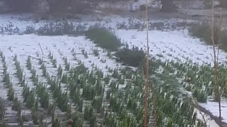 En Guanay instalan alarmas por posibles desbordes de r&iacute;os, las lluvias continuar&aacute;n en el norte de La Paz