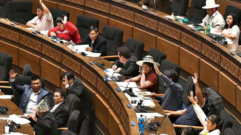 El pleno de la C&aacute;mara de Senadores, en sesi&oacute;n./ APG