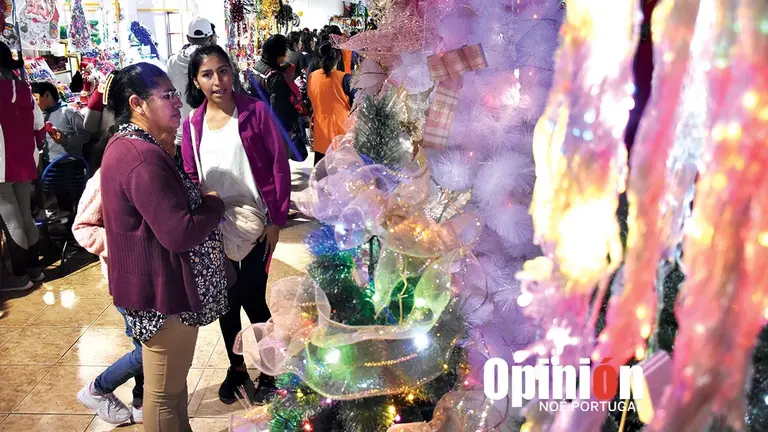 Visitantes ven art&iacute;culos en la Feria Navide&ntilde;a del recinto ferial./ DICO SOL&Iacute;S