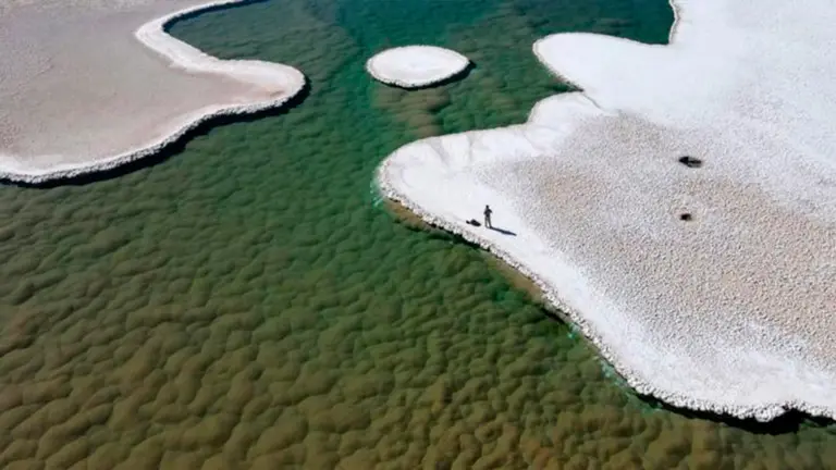 Estromatolitos en el fondo de una laguna en la puna de Atacama./ TOMADA DE BBC