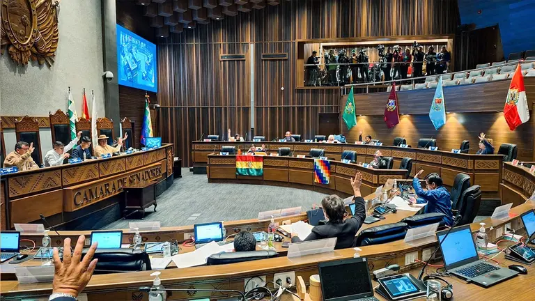 Sesi&oacute;n del Senado realizada este mi&eacute;rcoles por la noche./ C&Aacute;MARA DE SENADORES