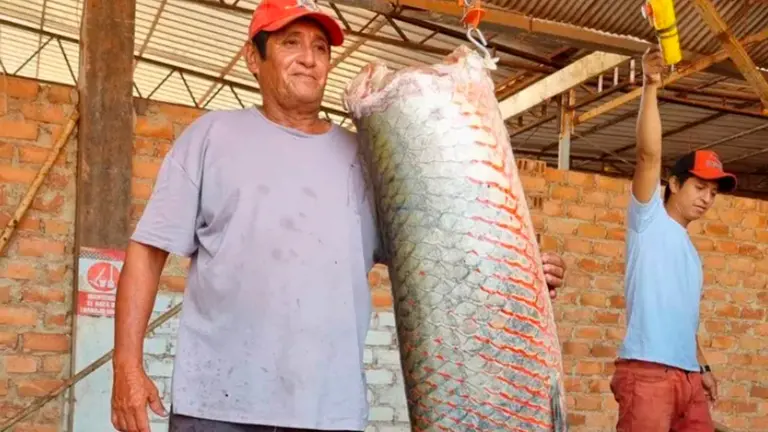 Guillermo Otta Parum pesca en la Amazon&iacute;a boliviana desde hace m&aacute;s de 50 a&ntilde;os. /TOMADA DE BBC