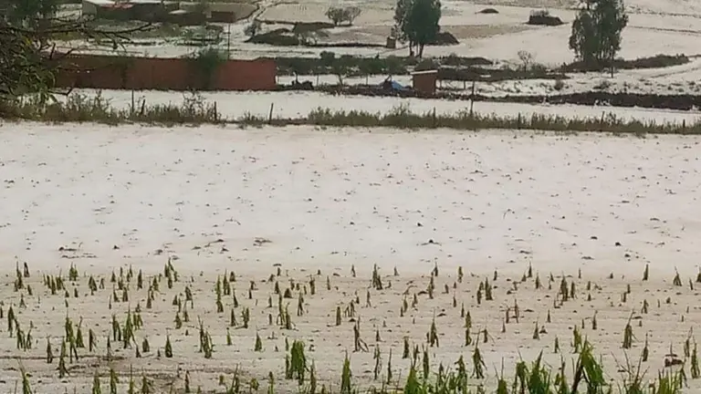 Afectaci&oacute;n por granizada en Sacabamba. COMUNARIOS SACABAMBA