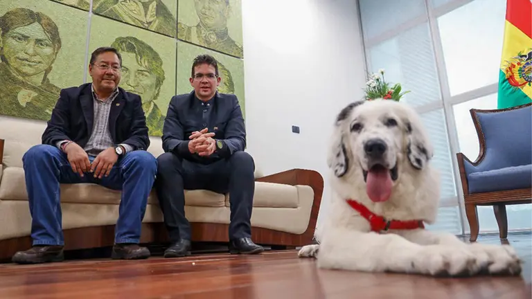 Maduro obsequia al presidente Arce un perro mucuch&iacute;es./ ABI