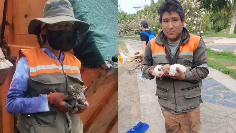 Ecorrecolectores muestran los cachorros y gatito hallados en la basura. RRSS