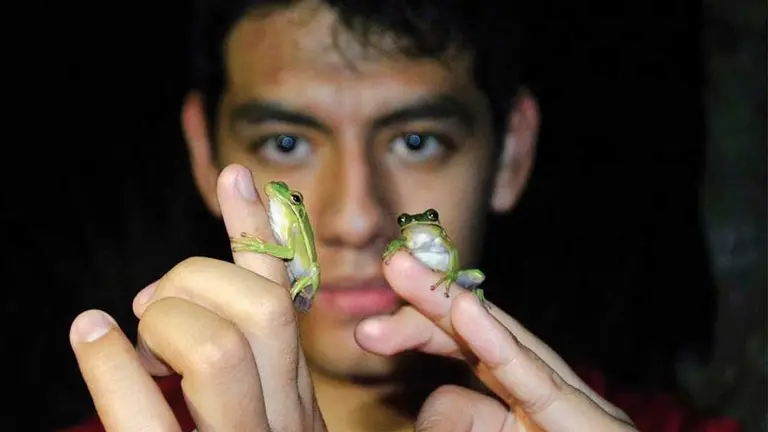 Andrés Cuellar sostiene ranas en las manos./ INSTAGRAM CONTACTO NATURAL